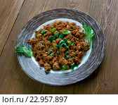 Chicken Keema. Стоковое фото, фотограф Александр Fanfo / Фотобанк Лори