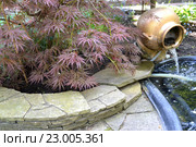 Ландшафтный дизайн с кленом дланевидным "Bloodgood" (Acer palmatum (Thunb.) Thunb.) и садовым фонтаном (2016 год). Редакционное фото, фотограф Ирина Борсученко / Фотобанк Лори