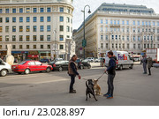 Прохожие на площади в историческом центре города Вена, Австрия (2016 год). Редакционное фото, фотограф Bala-Kate / Фотобанк Лори