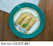 Baked Chicken Taquitos. Стоковое фото, фотограф Александр Fanfo / Фотобанк Лори