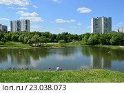 Покровский пруд. Район Чертаново Южное. Москва (2016 год). Стоковое фото, фотограф lana1501 / Фотобанк Лори