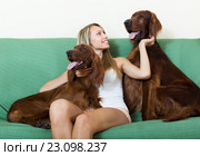 Happy woman sitting with two Irish setters. Стоковое фото, фотограф Яков Филимонов / Фотобанк Лори