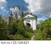 Кладбище в Кременце. Тернопольская область, Украина (2016 год). Стоковое фото, фотограф Онищенко Виктор / Фотобанк Лори