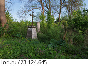 Кладбище в Кременце. Тернопольская область, Украина (2016 год). Стоковое фото, фотограф Онищенко Виктор / Фотобанк Лори