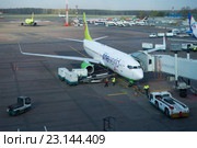 Загрузка багажа в самолет Boeing 737 (VQ-BKW ) авиакомпании S7 Siberia Airlines в аэроппорту Домодедово (2016 год). Редакционное фото, фотограф Виктор Карасев / Фотобанк Лори
