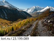 Дорога в долине реки Маашей на осеннем Алтае. Стоковое фото, фотограф Денис Черкашин / Фотобанк Лори
