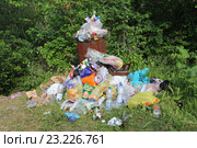 Свалка мусора в парке около переполненного мусорного контейнера из ржавой железной бочки (2016 год). Редакционное фото, фотограф Ekaterina M / Фотобанк Лори