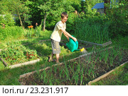 Подросток поливает грядку (2016 год). Редакционное фото, фотограф Инесса Гаварс / Фотобанк Лори