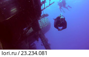 Дайверы в Красном море. Стоковое видео, видеограф Некрасов Андрей / Фотобанк Лори