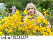 Женщина средних лет рядом с кустом эхиноцеи. Стоковое фото, фотограф Кекяляйнен Андрей / Фотобанк Лори