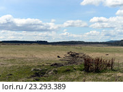 Огненная Земля (2014 год). Стоковое фото, фотограф Free Wind / Фотобанк Лори