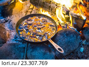 Походный ужин: грибы тушатся в сковородке на костре. Стоковое фото, фотограф Сергей Дубров / Фотобанк Лори