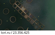 Садки для выращивания промысловой рыбы в Адриатическом море. Которская бухта. Черногория (2016 год). Стоковое видео, видеограф Кекяляйнен Андрей / Фотобанк Лори