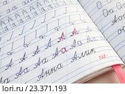 Школьный тренажер по русскому языку с исправлениями учителя, крупный план. Стоковое фото, фотограф Кекяляйнен Андрей / Фотобанк Лори