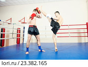 Muay thai boxers at training ring. Стоковое фото, фотограф Дмитрий Калиновский / Фотобанк Лори