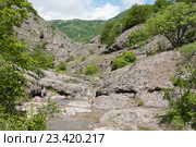 Арпатское ущелье ( урочище Панагия),  Зеленогорье, Крым (2016 год). Стоковое фото, фотограф Галина Хорошман / Фотобанк Лори