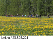 Команда Тюменского Велогона 2016 в поле одуванчиков. Редакционное фото, фотограф Анатолий Матвейчук / Фотобанк Лори