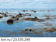 Берег Белого моря. Стоковое фото, фотограф Дмитрий Грушин / Фотобанк Лори