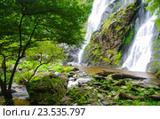 KHLONG LAN, THAILAND - August, 2016: Jungle landscape with flowing water of Khlong Lan waterfall in Kamphaeng Phet province at deep tropical rain forest. Khlong Lan National Park, Thailand. Стоковое фото, фотограф Natalia Sidorova / Фотобанк Лори