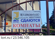 Табличка-объявление на калитке около дома на южном курорте "Сдаются комнаты" (2016 год). Редакционное фото, фотограф Александр Замараев / Фотобанк Лори