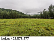 Пасмурно над лесом. Стоковое фото, фотограф Владимир Панкевич / Фотобанк Лори