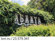 Крепость "Абаата", Гагра, Абхазия (2016 год). Стоковое фото, фотограф Алексей Гусев / Фотобанк Лори