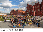 Сырная ярмарка в Москве на Манежной площади (2016 год). Редакционное фото, фотограф Наталья Волкова / Фотобанк Лори