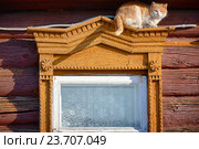 Кот на окне деревенского дома с наличниками (2016 год). Стоковое фото, фотограф Анастасия Степашина / Фотобанк Лори