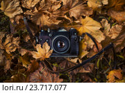 Пленочный фотоаппарат на осенних листьях. Стоковое фото, фотограф Ночёвка Виктория / Фотобанк Лори