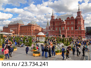 Сырная ярмарка в Москве на Манежной площади (2016 год). Редакционное фото, фотограф Наталья Волкова / Фотобанк Лори
