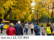 Люди гуляют в парке Останкино во осенью в городе Москве, Россия (2016 год). Редакционное фото, фотограф Николай Винокуров / Фотобанк Лори