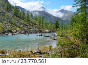 Лесистый берег Большого Шавлинского озера, Горный Алтай. Стоковое фото, фотограф Овчинникова Ирина / Фотобанк Лори