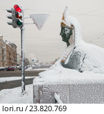 Сфинкс Египетского моста через Фонтанку. Зимний Санкт-Петербург (2010 год). Стоковое фото, фотограф Александр Алексеев / Фотобанк Лори