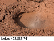 Красный красный Mudpot в долине Гейзеров (2016 год). Редакционное фото, фотограф Юлия Машкова / Фотобанк Лори