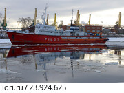 Корабль специального назначения (лоцманский) "ST PETERBURG PILOT " в грузовом порту облачным февральским утром. Санкт-Петербург (2016 год). Редакционное фото, фотограф Виктор Карасев / Фотобанк Лори