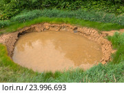 Zelyonyy Green Mudpot  в долине Гейзеров, Камчатка (2016 год). Редакционное фото, фотограф Юлия Машкова / Фотобанк Лори