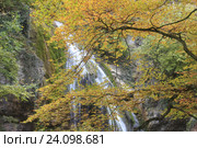 Крым осенью. Водопад Джур-Джур (2016 год). Стоковое фото, фотограф Яна Королёва / Фотобанк Лори