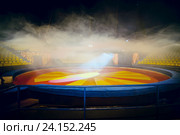 Арена цирка с эффектом тумана (2014 год). Редакционное фото, фотограф Татьяна Белова / Фотобанк Лори