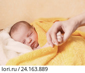 Newborn baby sleeping. Стоковое фото, фотограф Майя Крученкова / Фотобанк Лори