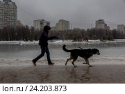 Прохожий выгуливает большую собаку вдоль берега замерзшего пруда в зимнем парке города Москвы, Россия (2016 год). Стоковое фото, фотограф Николай Винокуров / Фотобанк Лори
