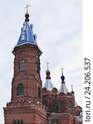 Елец, Липецкая область. Церковь Иконы Божией Матери Елецкая (1893-1915), колокольня (2016 год). Стоковое фото, фотограф Илюхина Наталья / Фотобанк Лори