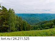 Россия, Алтайский край;город-курорт Белокуриха. ; Виды  с горы Церковка. (2016 год). Стоковое фото, фотограф Александр Циликин / Фотобанк Лори