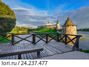 Псковский Кремль вид со смотровой площадки (2016 год). Редакционное фото, фотограф Геннадий Соловьев / Фотобанк Лори