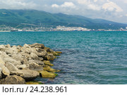 Камни, поросшие водорослями, на берегу Цемесской бухты. Новороссийск, Россия. Стоковое фото, фотограф Наталья Гармашева / Фотобанк Лори
