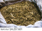 Традиционный южноамериканский чай Yerba mate. Стоковое фото, фотограф AK Imaging / Фотобанк Лори