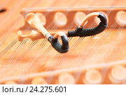 dulcimer stringed musical instrument with hammer. Стоковое фото, фотограф Дмитрий Калиновский / Фотобанк Лори