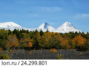 Россия, Дальний Восток, Камчатка. Вулканы Ushkovsky(3943m) Kliuchevskoi(4800m) Kamen(4585m) Стоковое фото, фотограф Геннадий Теплицкий / Фотобанк Лори