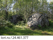 Ритуальные камни в Тиверском городище (Ленинградская область) (2016 год). Стоковое фото, фотограф Самохвалов Артем / Фотобанк Лори