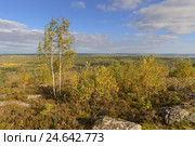 Гора Хийденвуори. Республика Карелия (2016 год). Стоковое фото, фотограф Дмитрий Шишков / Фотобанк Лори
