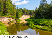 Река Каракан, приток реки Оби. Новосибирская область, Сибирь, Россия. Стоковое фото, фотограф Евгений Мухортов / Фотобанк Лори
